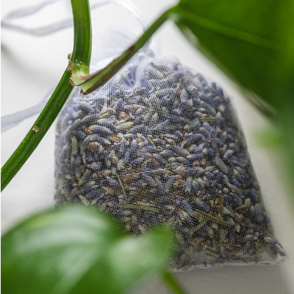 LAVENDER ORGANZA SACHET