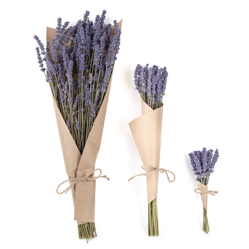 French Dried Lavender Flowers Bunch, Fragrant 100gr