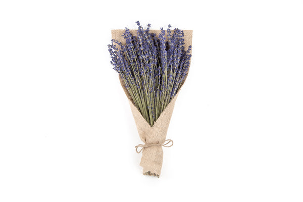 LARGE PREMIUM FRENCH LAVENDER BOUQUET