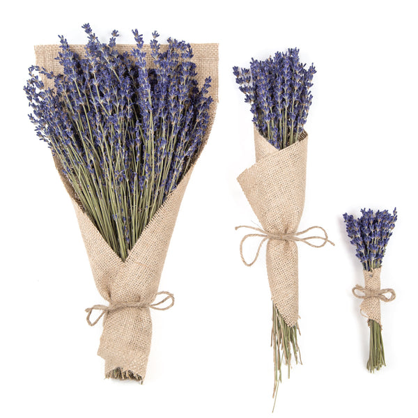 PREMIUM FRENCH LAVENDER BOUQUET